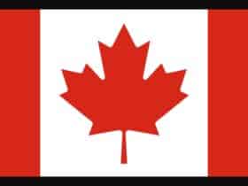 Best Canada Crypto Casino Sites 2024: We Picked Only Top Sites