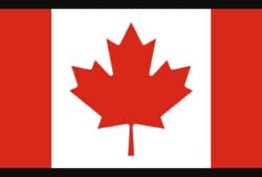 Best Canada Crypto Casino Sites 2024: We Picked Only Top Sites