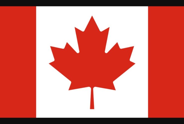 Best Canada Crypto Casino Sites 2024: We Picked Only Top Sites