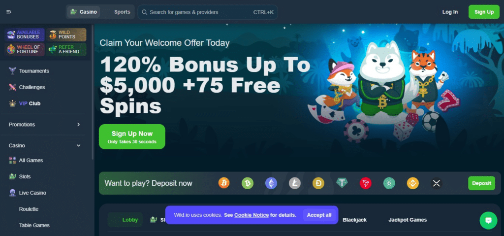 wild casino for bitcoin casino