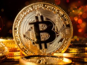 6 Best Usa Bitcoin Casino No Deposit Bonus