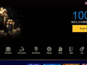 Golden Lady Casino Review: Is it Safe To Play? 2024 Updated