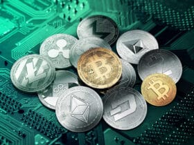10 Best UFC Crypto Betting Sites 