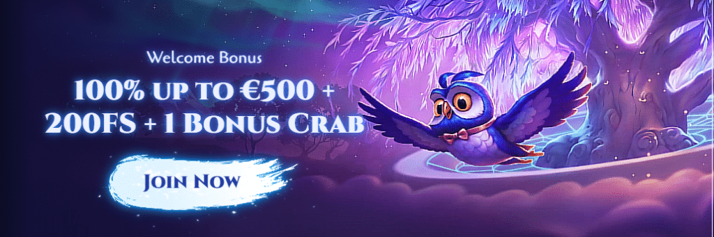 Bonuses and Promotions