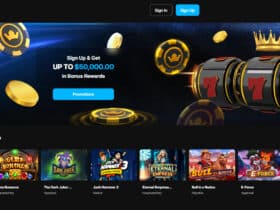 Niyvi Casino Review: Is it Safe To Play? 2024 Updated