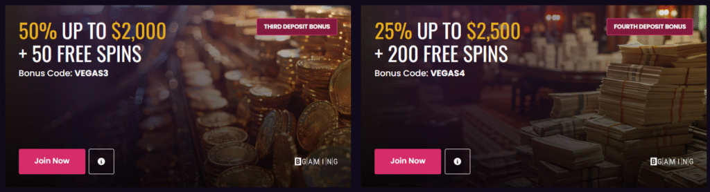 VIP Program