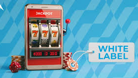 Top 10 White-Label iGaming Platforms for Launching Online Casinos
