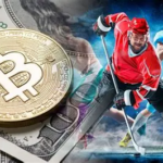 10 Best Crypto-Friendly Sportsbooks for High-Stakes Bitcoin Betting