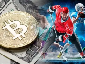 10 Best Crypto-Friendly Sportsbooks for High-Stakes Bitcoin Betting