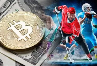 10 Best Crypto-Friendly Sportsbooks for High-Stakes Bitcoin Betting